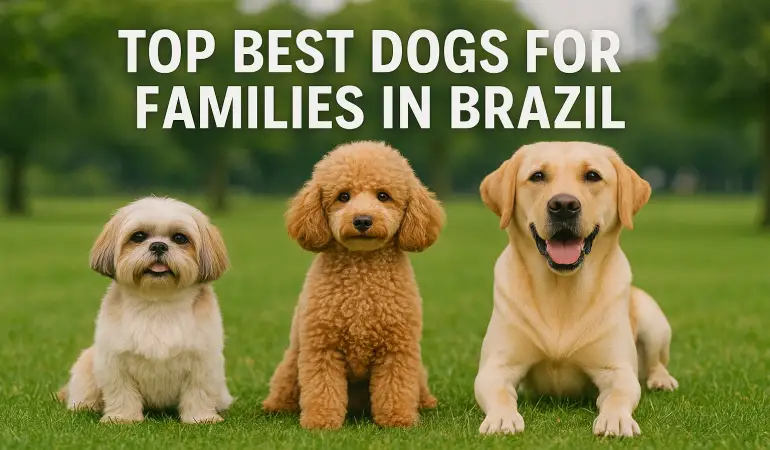 Top Best Dogs for Families in Brazil: Discover the Best Family Dogs and Guard Dogs