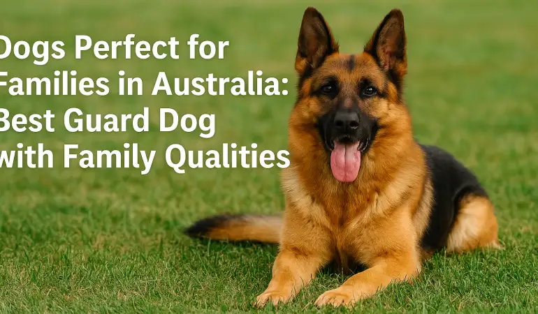 Dogs Perfect for Families in Australia: Best Guard Dog with Family Qualities