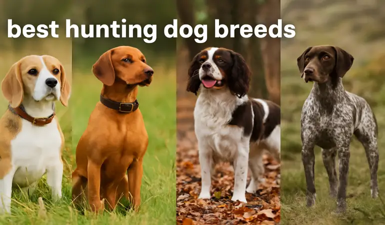 Best Hunting Dog Breeds for Families