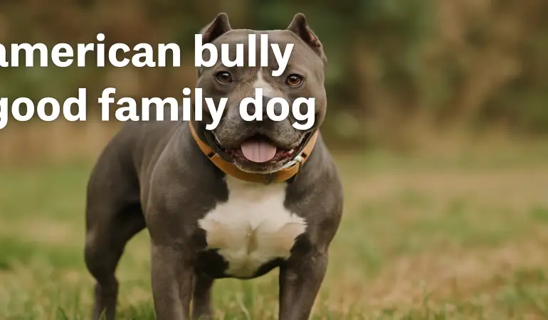 Are American Bullies Good Family Dogs? Complete Guide for Parents