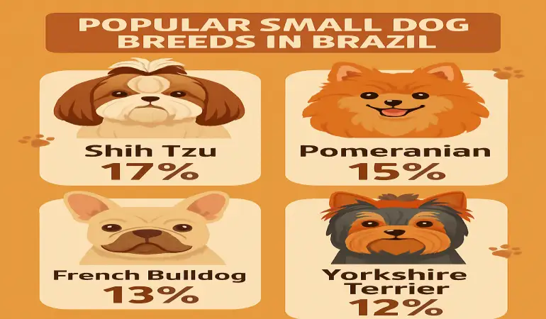 Why Brazilians Are Choosing Small Dog Breeds for Apartments in São Paulo and Rio