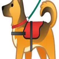 Dog Training Services