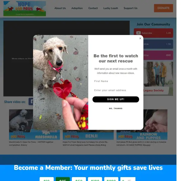 Hope For Paws - Animal Rescue